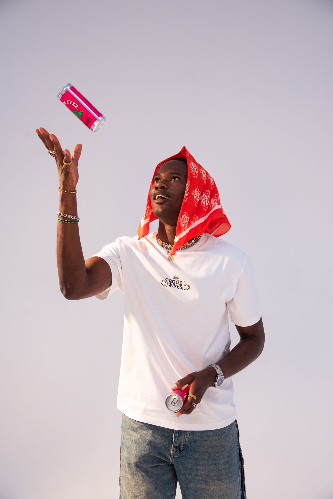 Session Fizz (6 Pack)